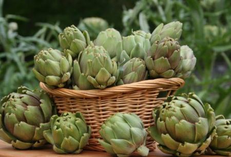 فوائد الخرشوف للجنس