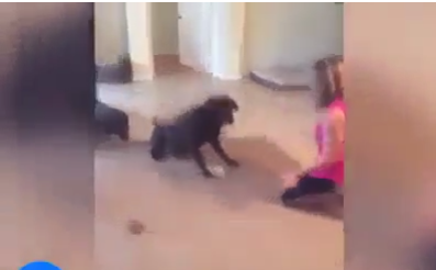 يد ميلاد ... والدموع في عينيه