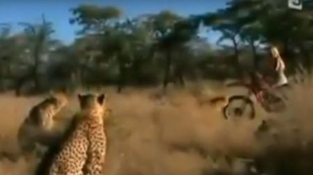 مقطع مرعب صوره هاوي واشترته ناشيونال جيوغرافيك بمليون دولار