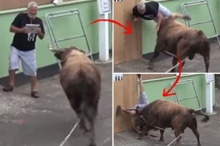 شاهد.. لحظات مرعبة: ثور هائج يهاجم أحد الأشخاص حاول تصويره بالآيباد