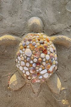 تفاصيل صورة لـ: image