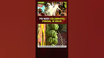 [HI] #PMModi ने दिल्ली में मनाया पोंगल | संक्रांति 2026 | राजनीतिक समाचार अपडेट | #YTSशॉर्ट्स