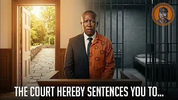 [ZH] 法院特此判处 Julius Malema 先生……