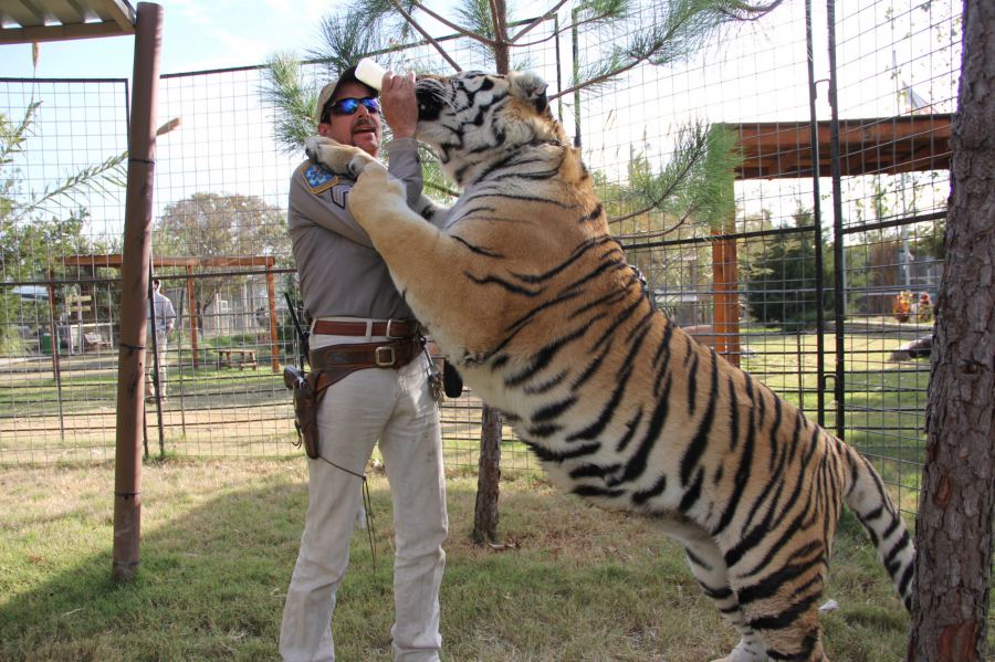 Netflix series ‘Tiger King’ sheds light on criminal antics of a big-cat eccentric