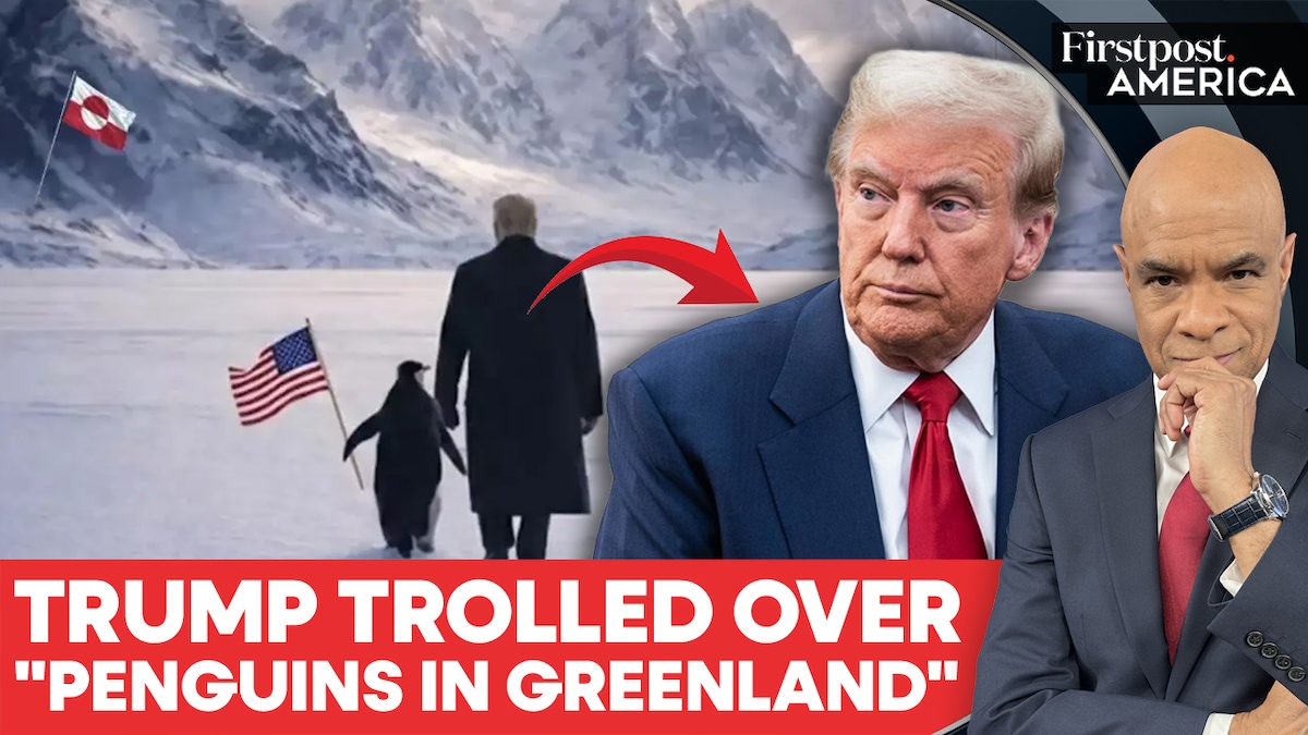 Trump’s AI Penguin Walk to Greenland Gets Brutally Fact-Checked Online | Firstpost America