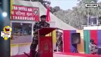 The latest news of funny videos