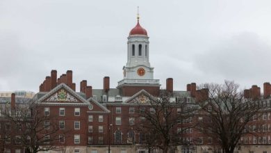 Harvard’s scramble of $ 9 billion to prevent the next columbia