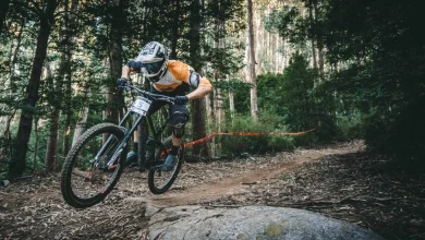 Best Rats Cycles with Disc Brakes (April 2025): Offer precise control and excellent performance