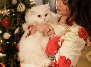 Alia Bhatt’s ‘Perfect’ Christmas Wish also included pet cat Edward