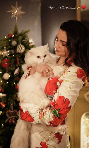 Alia Bhatt’s ‘Perfect’ Christmas Wish also included pet cat Edward