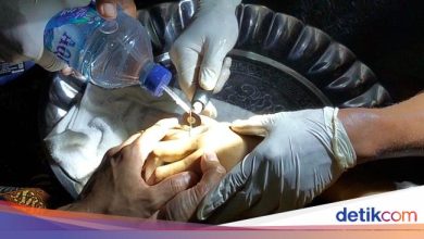Story of Damkar Tarakan -Evil of the Ring on the Body: This is the first time