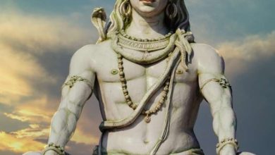 What is Shiva Ji’s favorite Radix?
