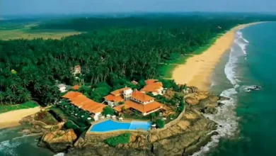 Sri Lanka will hand over India to the island of Kachhativu! Stalin s