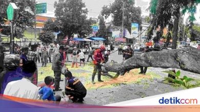 Santuni Ministry of Social Affairs 22 tree victims of trees during ID prayers in Pemalang