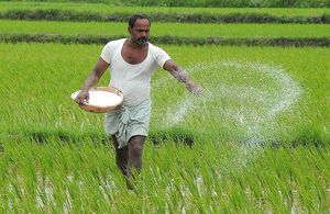 Impact of climate change on agriculture, worrying drop in the growth rate