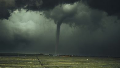 Lake City Tornado: Video shows violent turning on the ground, monette on warning