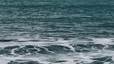 How many oceans on earth?