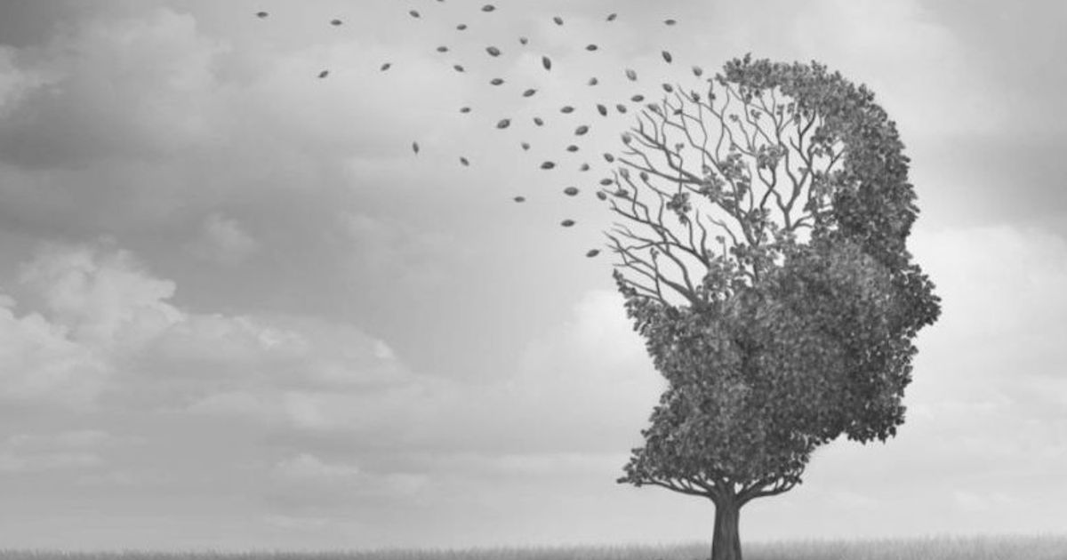Experimental remedy can reduce the chances of developing Alzheimer’s disease