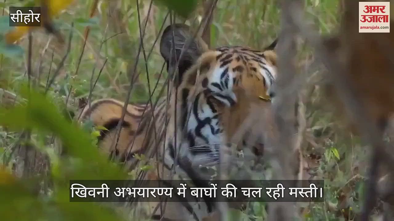Sehore’s latest news