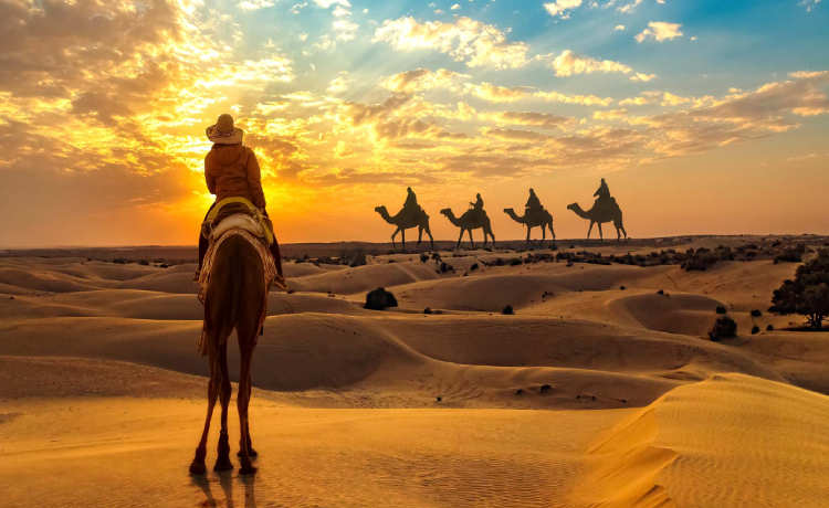 Is there something special to see and see in the Desert National Park or Rajasthan? Know the time and entry fees to wander in 2 minutes of video