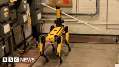 Robot Dog Sent Into Hazardous Area at Dunray to Flip Switch – ryan