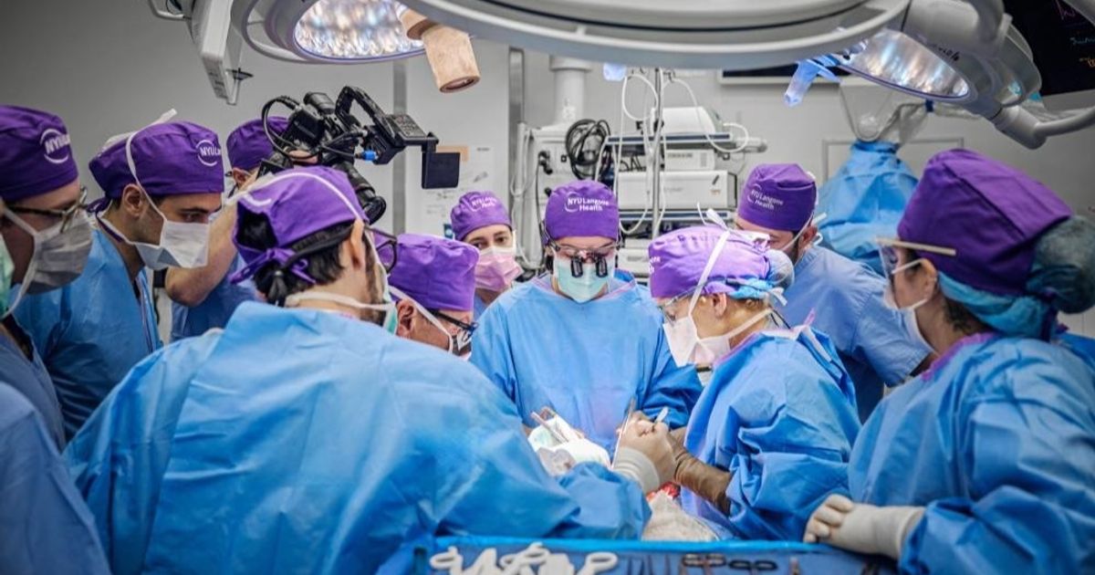 Surgeons announce the first “full eye” transplant in the world