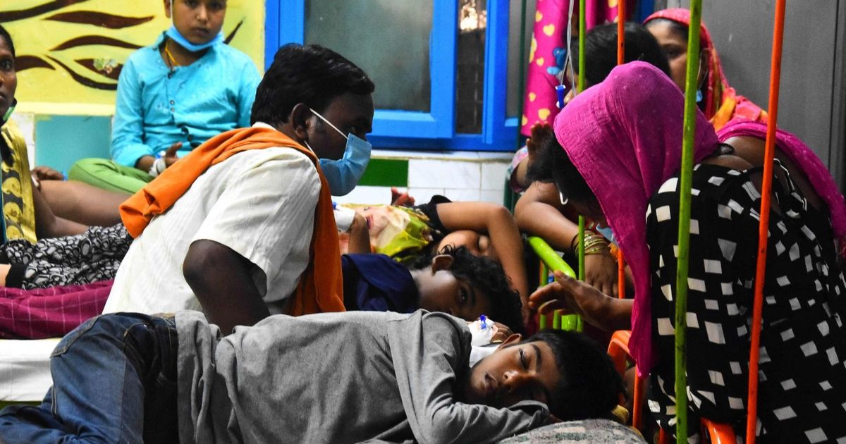 “Global Health” expects a standard outbreak of dengue fever