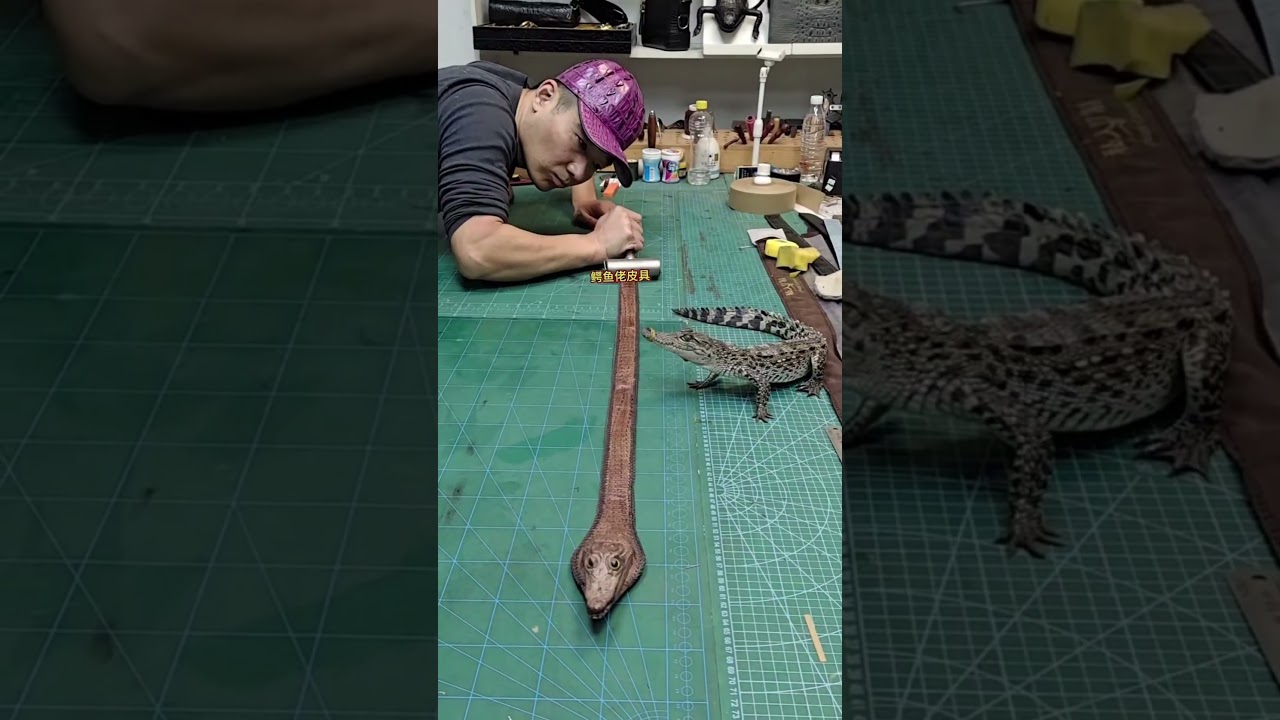 Unbelievable Crocodile belt! 🤯🔥 #shorts #viral – ryan