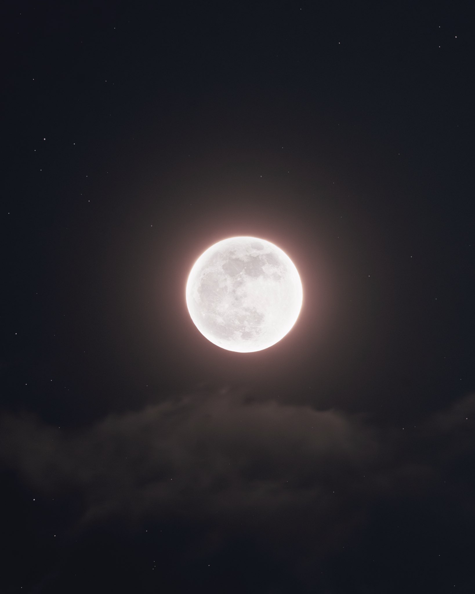 “Pink Moon” Lights Up Sky on Palm Sunday – ryan