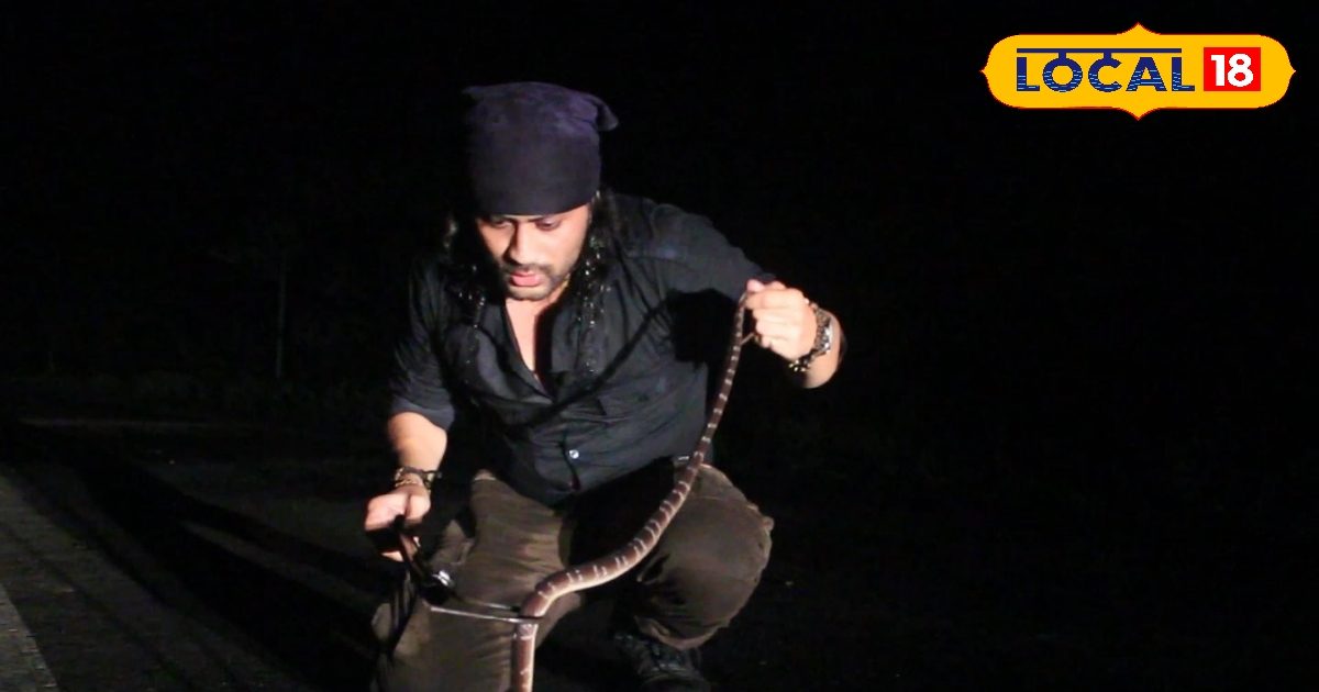 These two snakes are Summer Yamraj … poison goes so deadly within 20 minutes she lives here