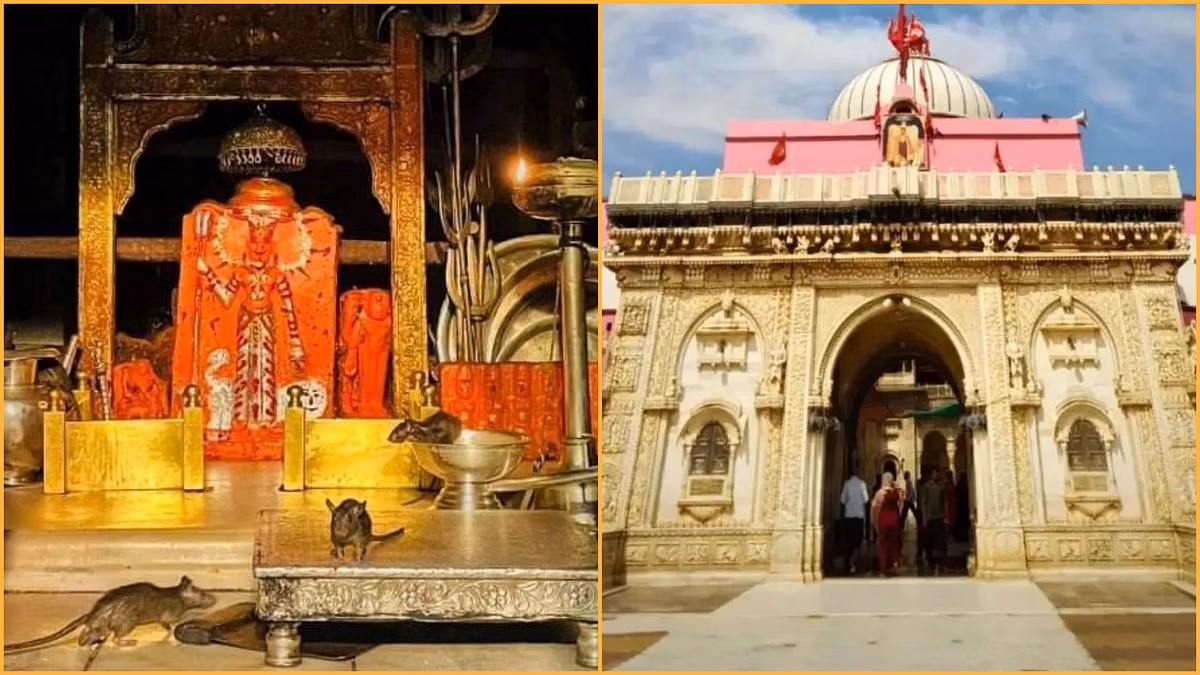 Look at the 5 Powerful Temple of Mother in Rajasthan, where every wish is fulfilled by only Darshan, spiritual peace is found