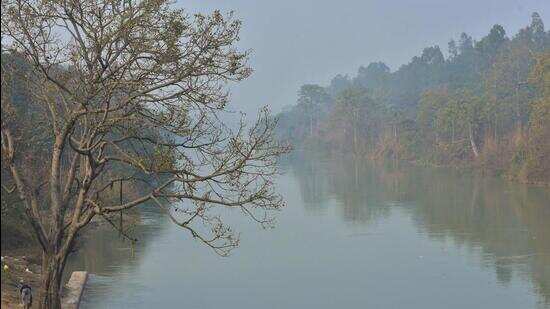 There will be investigating the cutting of trees of more than 20 meters in Uttar Pradesh
