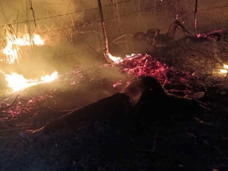A terrible accident in this district of Rajasthan! Father-son riding a bicycle burned due to unknown vehicle collision, read the full report