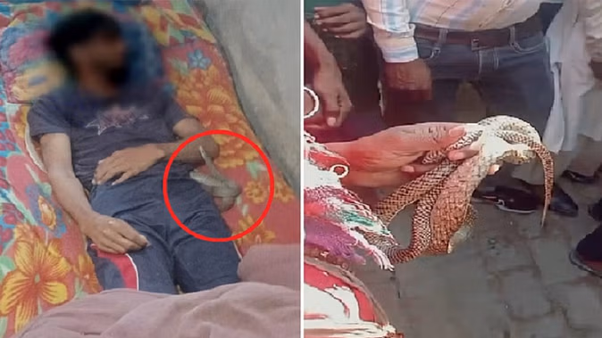 Amit did not die due to snake bite, was strangled to death, woman and her beloved in custody