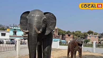 Tiger and elephants welcome tourists, these stations are converted into the theme of Tiger Reserve