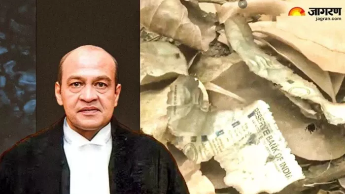Justice Yashwant Verma case: 52 cases hanging before justice Yashwant Verma will hear the timetable godhere