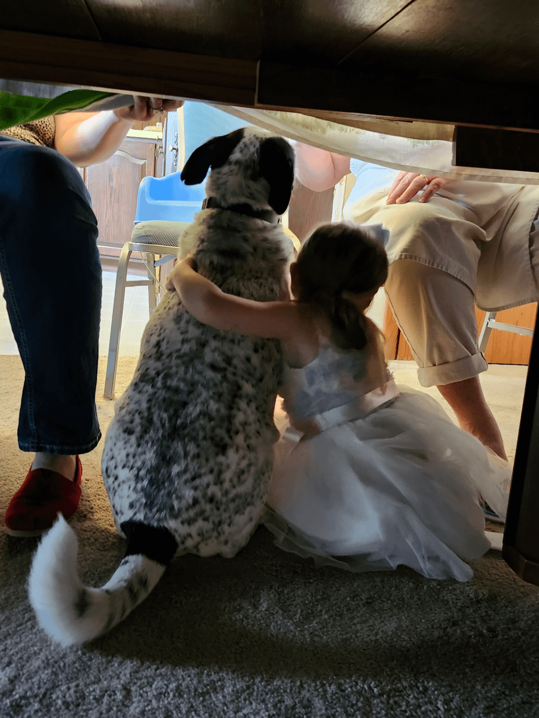 My Niek and My Dog After Easter Dinner (OC) – ryan