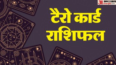 Tarot card lecture, Tarot future forecast in Hindi, Tarot Card – Amar Ujala