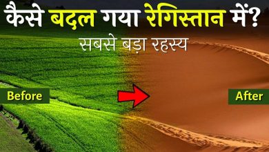 How thousands of years ago did the sea of ​​sand change? Know in the video Thar Desert the Secret who never listens