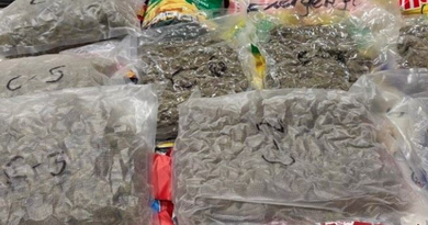 Ahmedabad: Dri seized more than 37 kg of hydroponic video at the International Airport, four arrested four