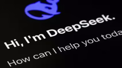 In this viral video, know all the models of Deepsheek AI and their specialty, how to make a game for India?