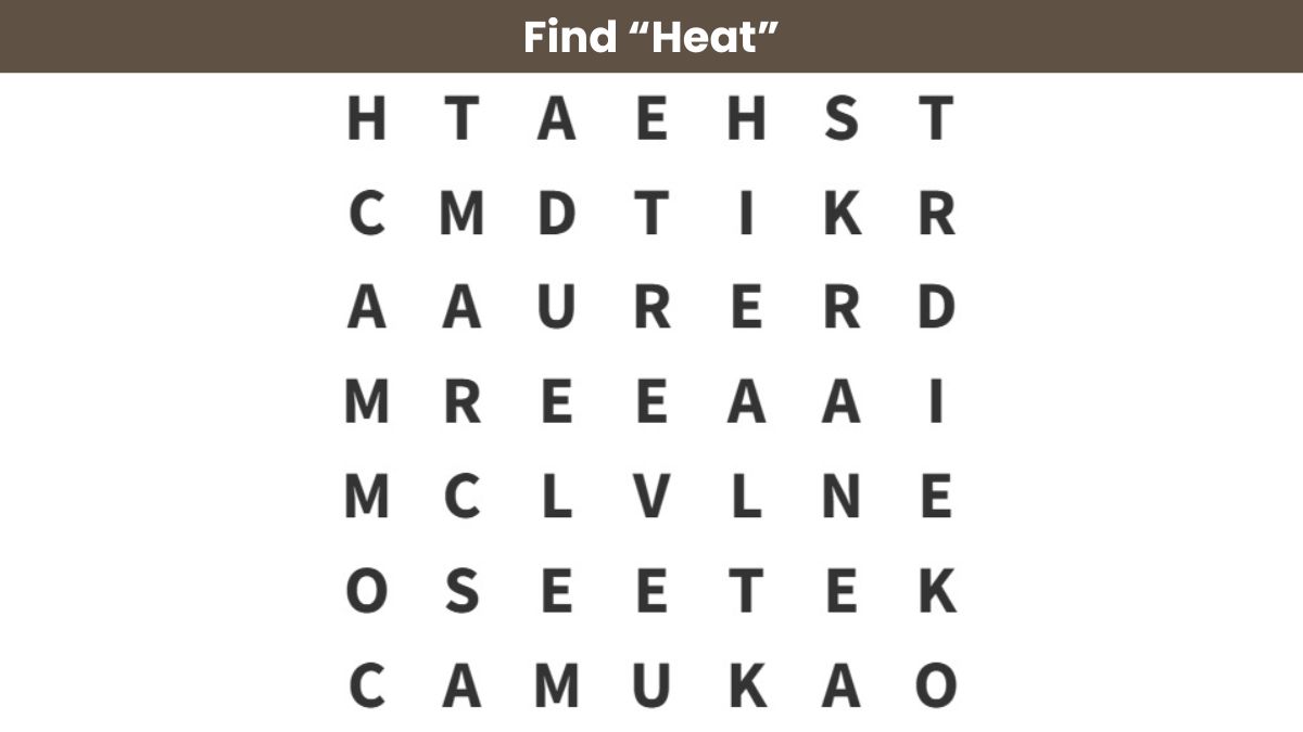 WORD -SEEK -LEAVE: Find the word ‘heat’ within 10 seconds!