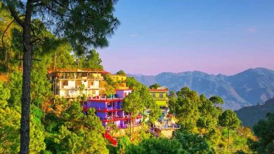 If you have to spend peace with a partner then these hills of Himachal may be the first choice, the honeymoon will be missed