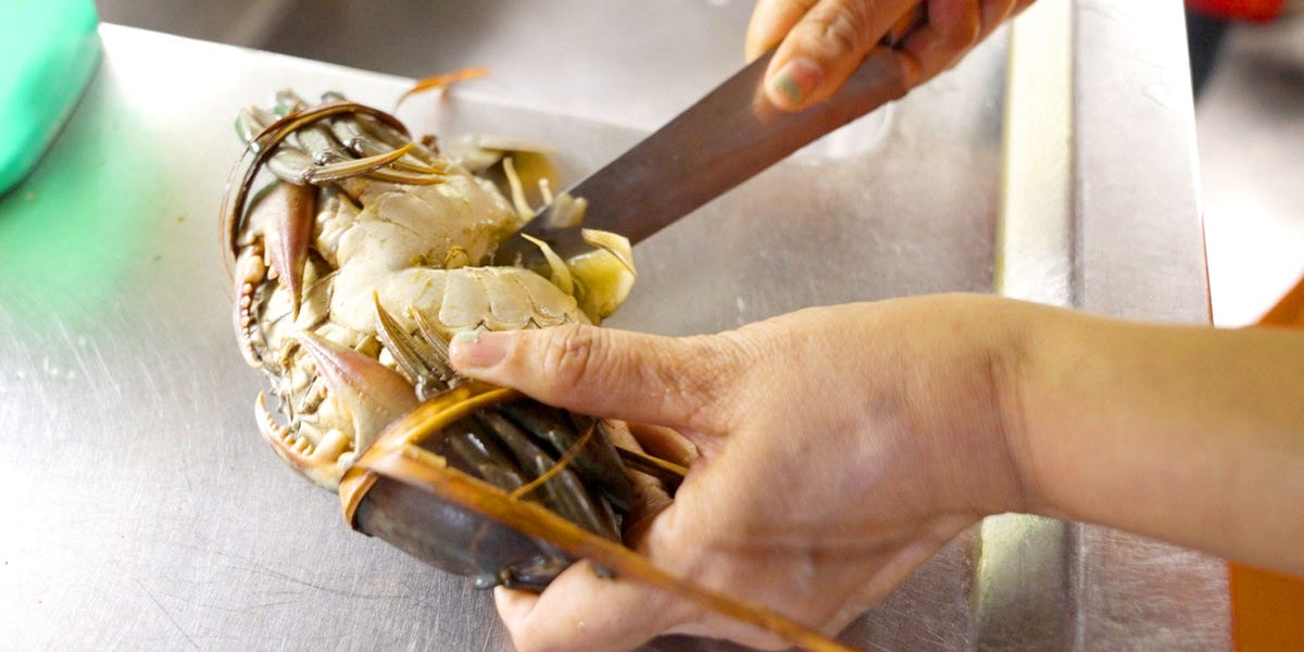 why-indonesia’s-mud-crab-industrial-could-go-exinct