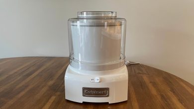 Chill out with the best ice cream makers for 2025, tested and reviewed – ryan