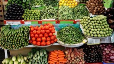 الليمون سعره مش بينزل والبطيخ نزل النص …. قائمة أسعار الخروات والفواكه اليوم الثلift 29/أبريل/2025 – 09:53 ص – ryan