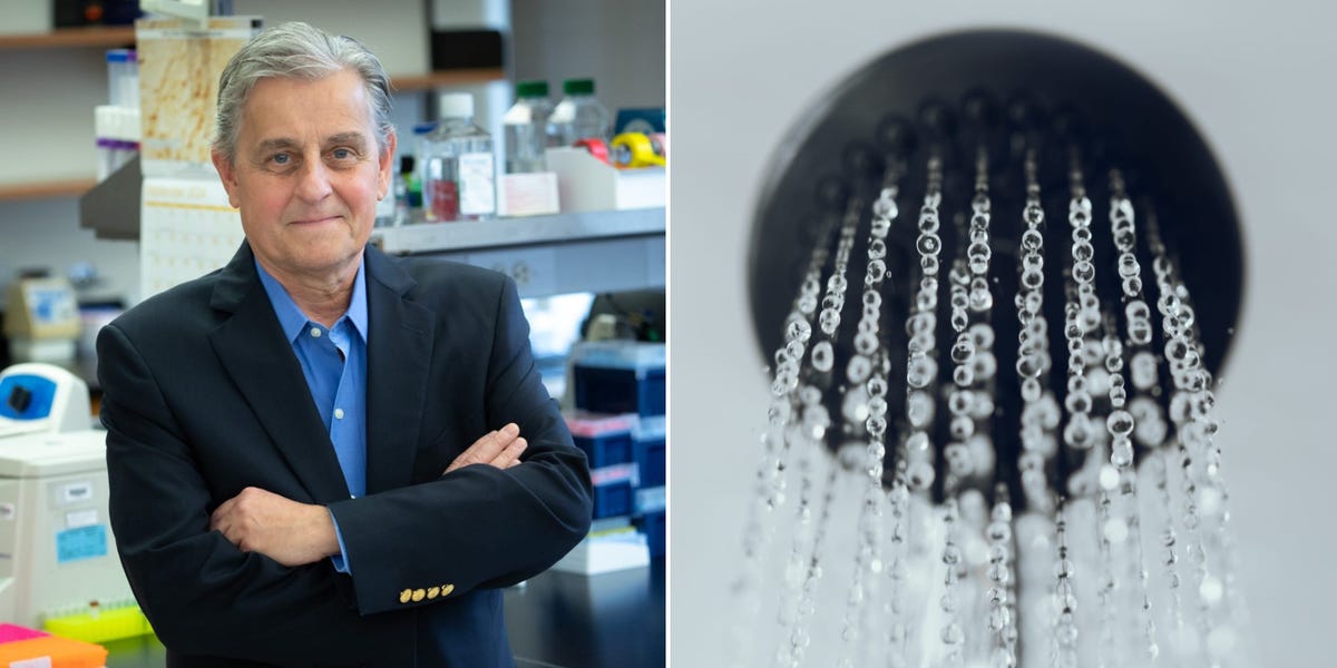 3-issues-a-scientist-does-to-gash-irritation-by-the-vagus-nerve