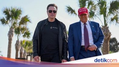 Expert analysis over Elon Musk withdraw from Trump’s government