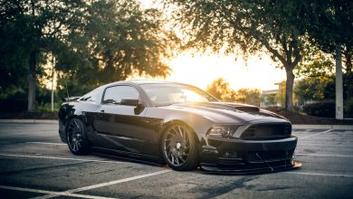 Choose the best car, so the family stays safe