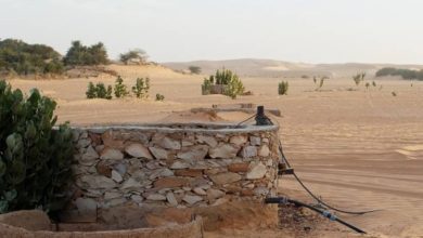 «عكاظ» تنشر مسودة ضوابط إصدار رخص حفر الآبار الجديدة